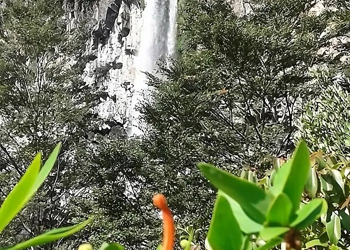 Corral Del Agua