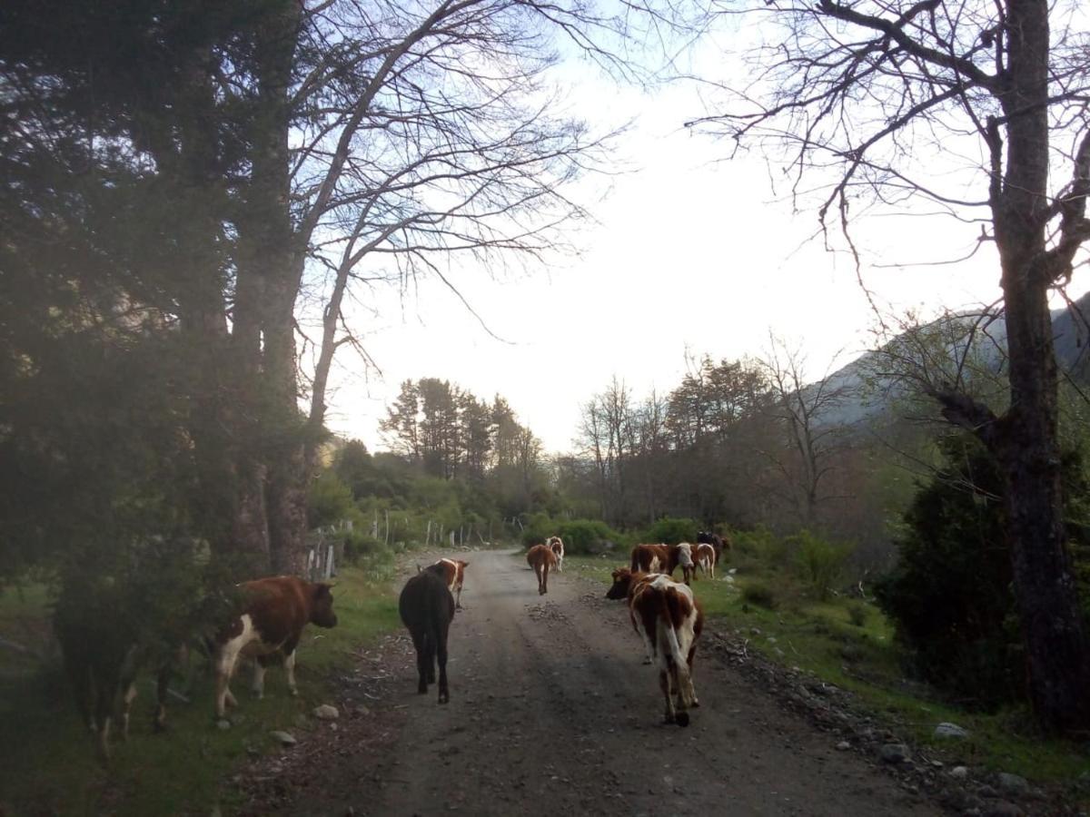 Chalé Corral Del Agua *