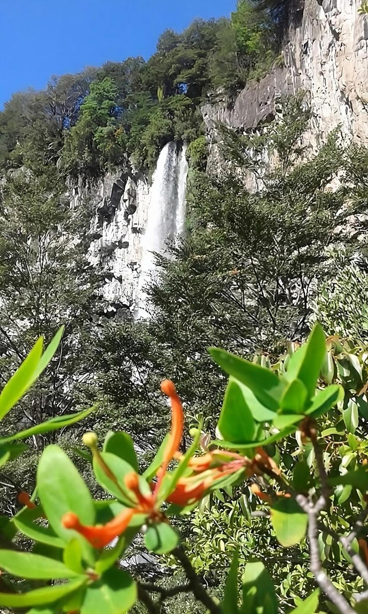 Corral Del Agua *